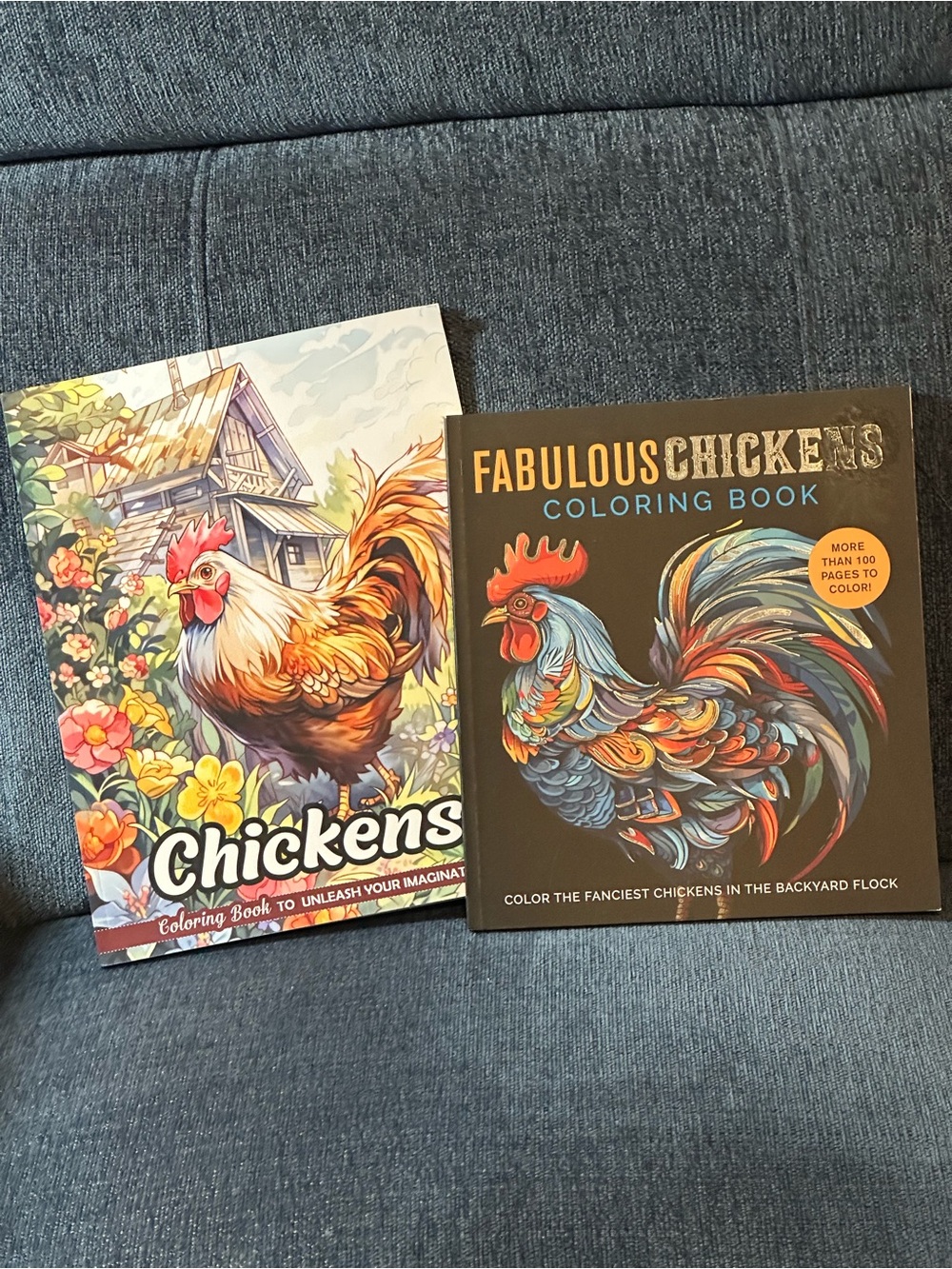 Chickens to Unleash Your Imagination & Fabulous Chickens coloring books